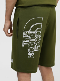 Спортивні шорти The North Face M Graphic Short Light-Eu модель NF0A3S4FPIB1 Фото