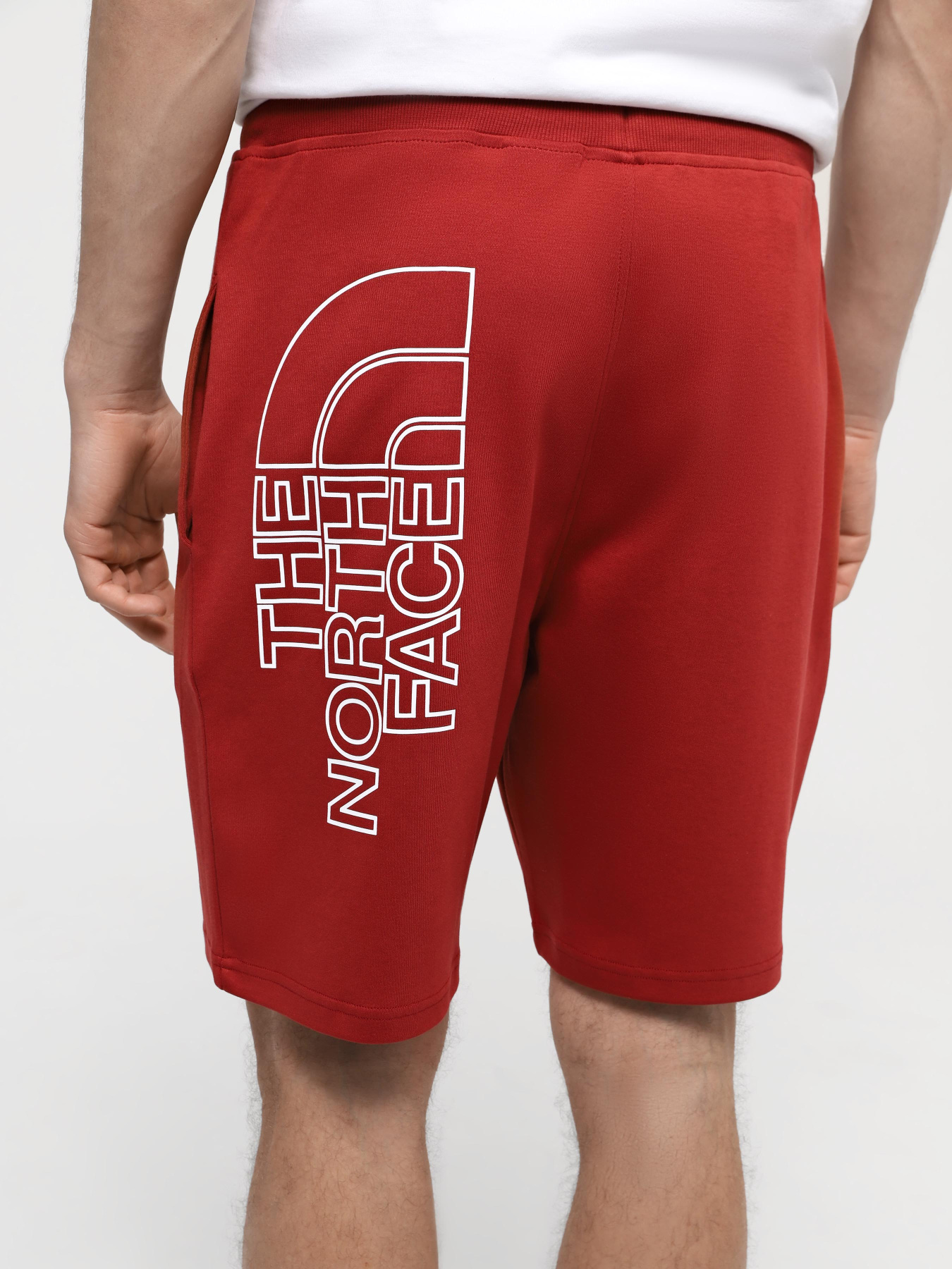 Шорты спортивные The North Face M Graphic Short Light-Eu модель NF0A3S4FPOJ1 Фото