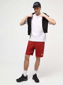 Шорты спортивные The North Face M Graphic Short Light-Eu модель NF0A3S4FPOJ1 Фото