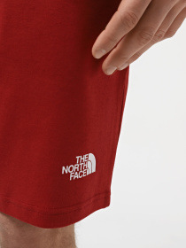 Шорты спортивные The North Face M Graphic Short Light-Eu модель NF0A3S4FPOJ1 Фото