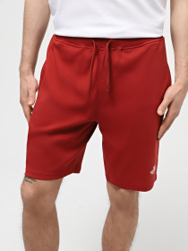 Шорты спортивные The North Face M Graphic Short Light-Eu модель NF0A3S4FPOJ1 Фото