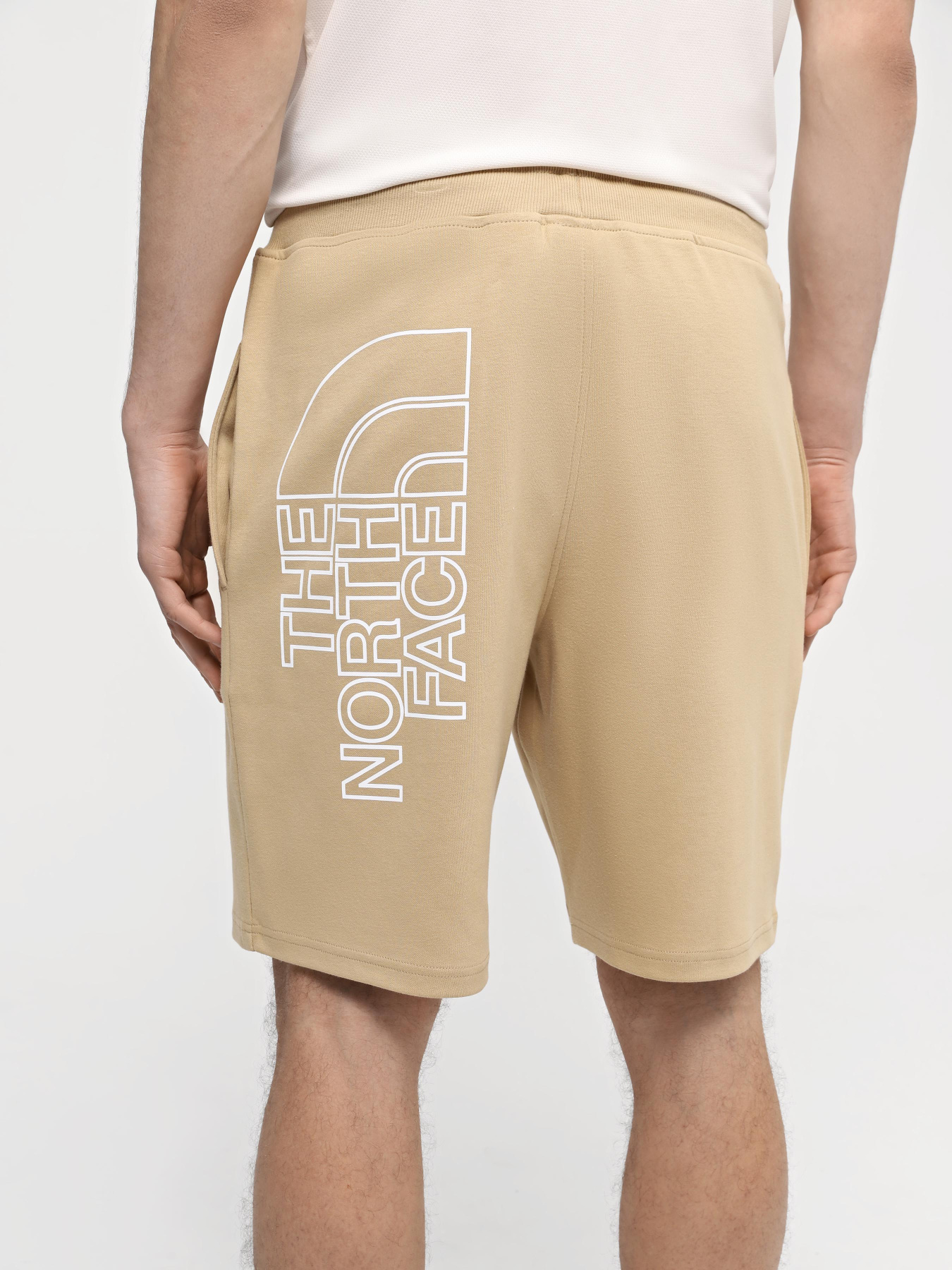 Шорты спортивные The North Face M Graphic Short Light-Eu модель NF0A3S4FLK51 Фото