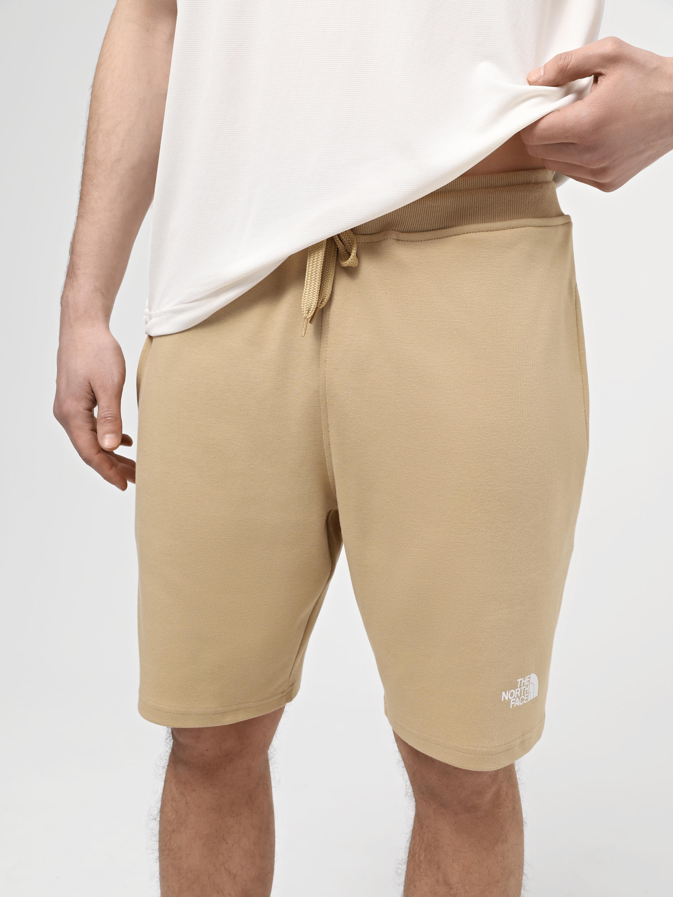 Шорты спортивные The North Face M Graphic Short Light-Eu модель NF0A3S4FLK51 Фото