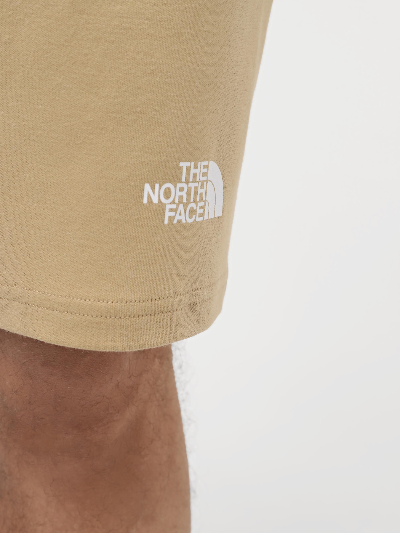 Спортивні шорти The North Face M Graphic Short Light-Eu модель NF0A3S4FLK51 Фото