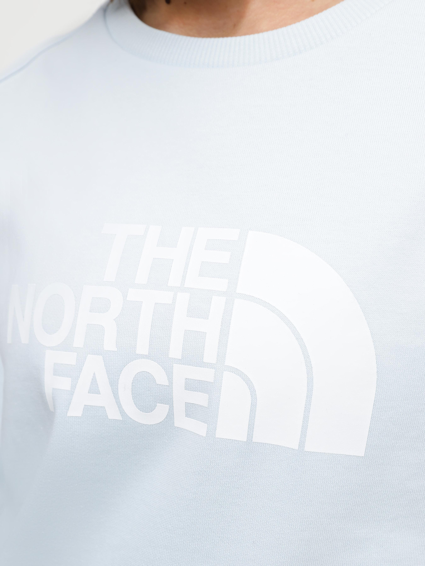 Свитшот The North Face Drew Peak модель NF0A3S4GO0R1 Фото