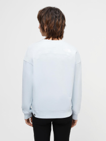 Свитшот The North Face Drew Peak модель NF0A3S4GO0R1 Фото