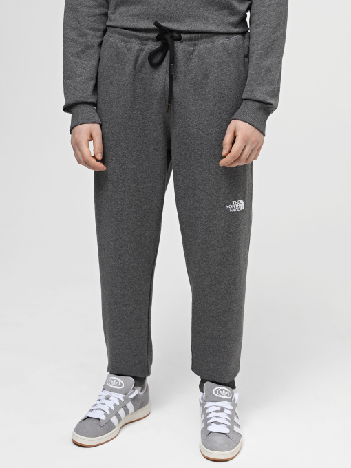 Штаны спортивные The North Face M Nse Light Pant модель NF0A4T1FDYY1 Фото