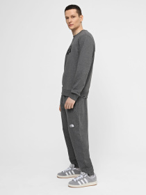 Спортивні штани The North Face M Nse Light Pant модель NF0A4T1FDYY1 Спортивні штани The North Face M Nse Light Pant модель NF0A4T1FDYY1 Фото