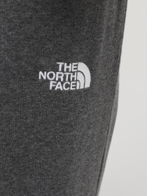 Спортивні штани The North Face M Nse Light Pant модель NF0A4T1FDYY1 Спортивні штани The North Face M Nse Light Pant модель NF0A4T1FDYY1 Фото