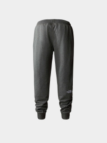 Спортивні штани The North Face M Nse Light Pant модель NF0A4T1FDYY1 Спортивні штани The North Face M Nse Light Pant модель NF0A4T1FDYY1 Фото