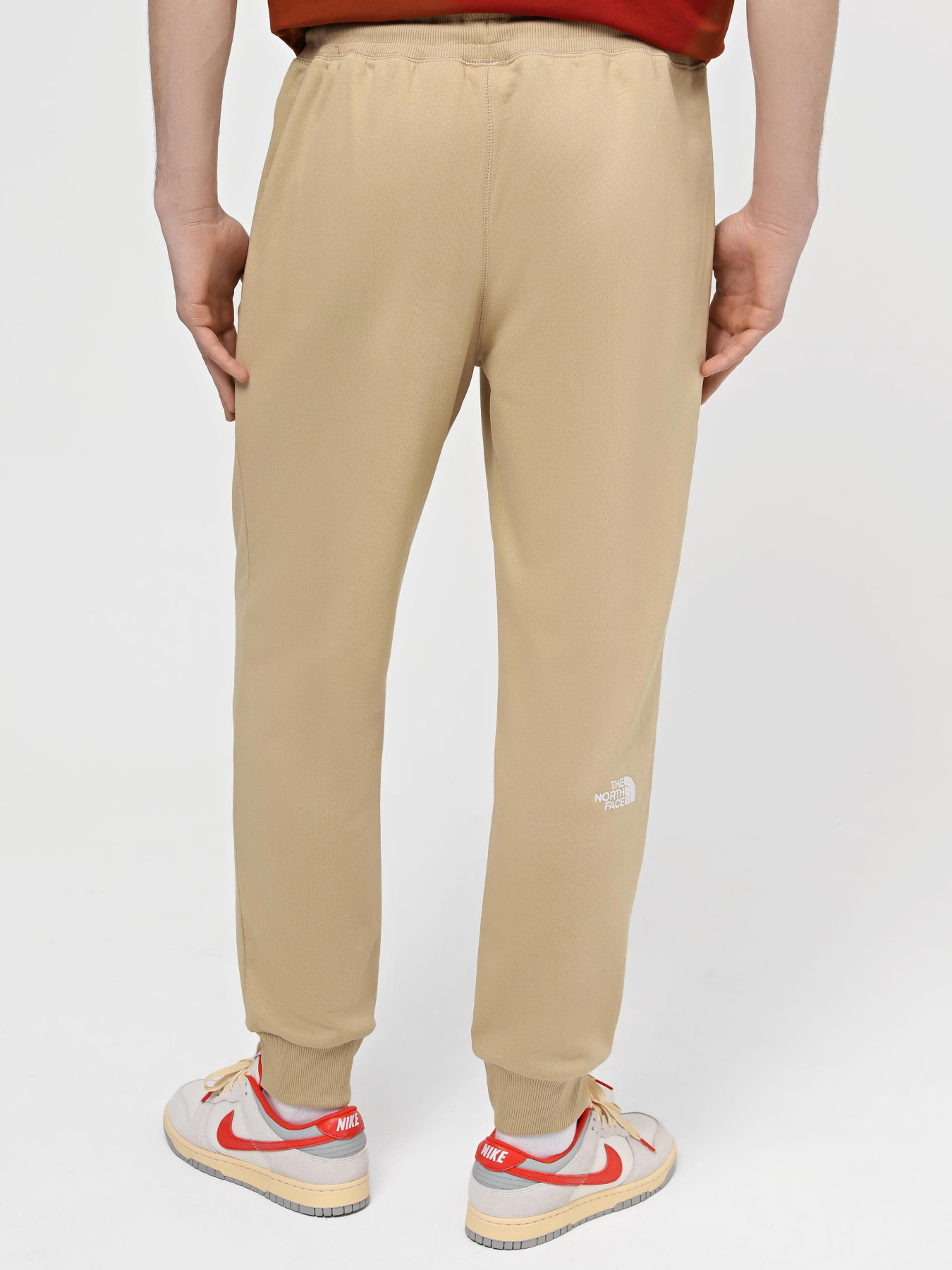 Штаны спортивные The North Face M Nse Light Pant модель NF0A4T1FLK51 Фото