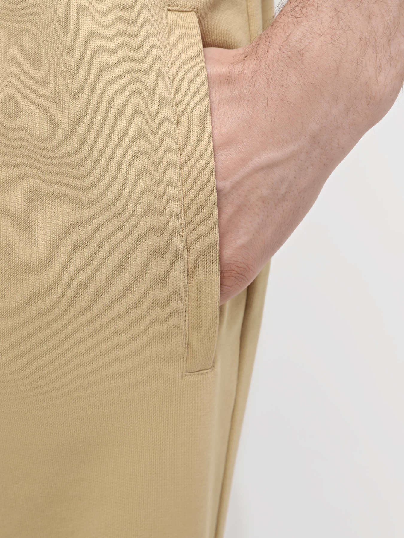 Штаны спортивные The North Face M Nse Light Pant модель NF0A4T1FLK51 Фото