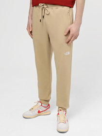 Штаны спортивные The North Face M Nse Light Pant модель NF0A4T1FLK51 Фото