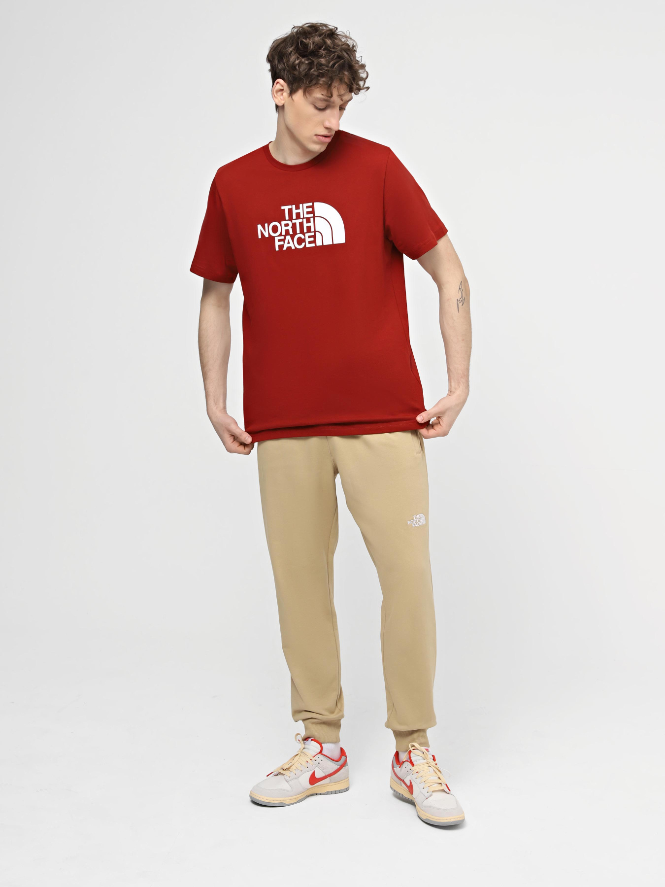 Спортивні штани The North Face M Nse Light Pant модель NF0A4T1FLK51 Фото