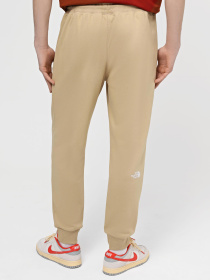 Спортивні штани The North Face M Nse Light Pant модель NF0A4T1FLK51 Фото