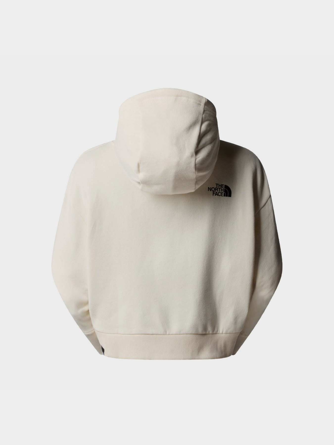 Худі The North Face Trend модель NF0A5ICYQLI1 Фото