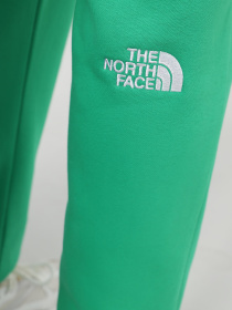Штаны спортивные The North Face M Essential Jogger модель NF0A7ZJBPO81 Фото