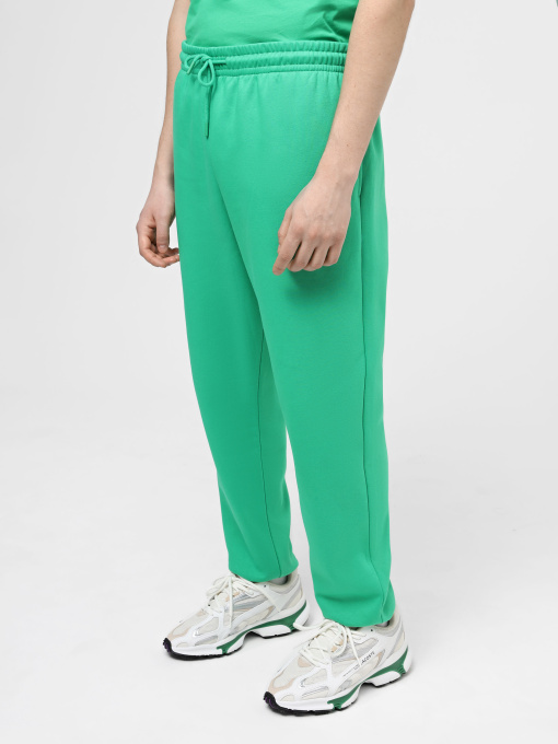 Штаны спортивные The North Face M Essential Jogger модель NF0A7ZJBPO81 Фото