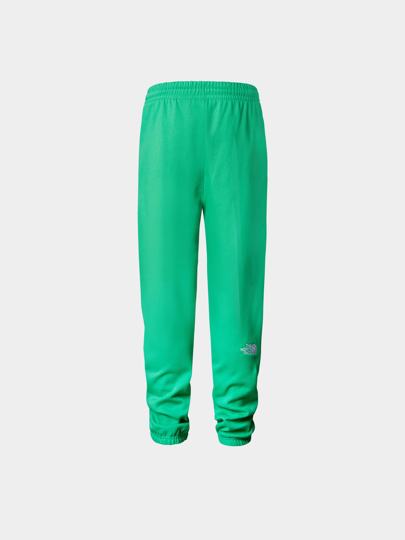Спортивні штани The North Face M Essential Jogger модель NF0A7ZJBPO81 Фото