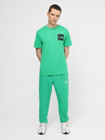 Спортивні штани The North Face M Essential Jogger модель NF0A7ZJBPO81 Фото