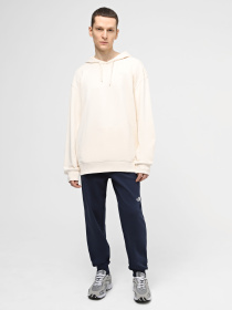 Худі The North Face U Street Explorer Hoodie модель NF0A87D3QLI1 Худі The North Face U Street Explorer Hoodie модель NF0A87D3QLI1 Фото