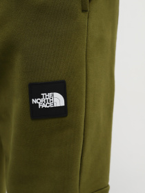 Штаны спортивные The North Face U The 489 Jogger модель NF0A87D9PIB1 Фото