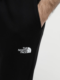 Спортивні штани The North Face Zumu Jogger модель NF0A87DEJK31 Фото