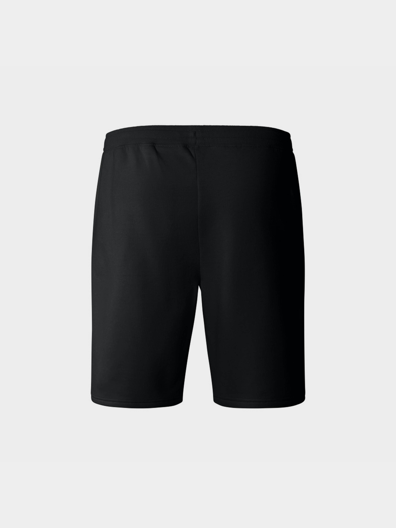 Спортивні шорти The North Face Zumu модель NF0A87DFJK31 Фото