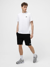 Спортивні шорти The North Face Zumu модель NF0A87DFJK31 Фото