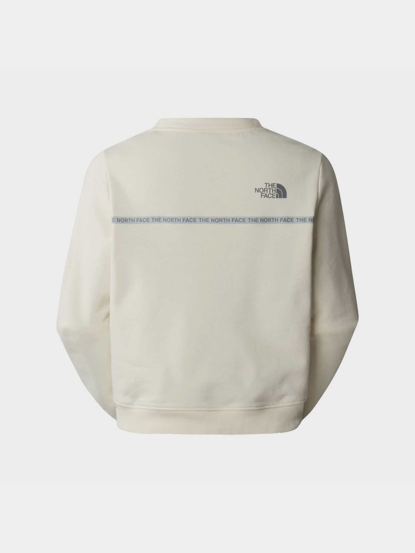 Світшот The North Face W Zumu Crew модель NF0A87DHQLI1 Фото