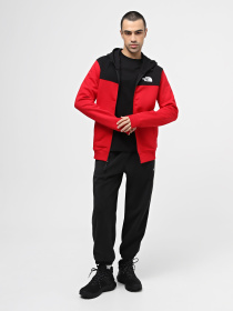 Кофта The North Face Icons модель NF0A87DN6821 Фото