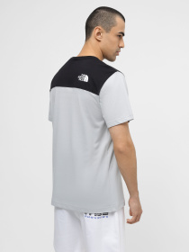 Футболка The North Face Icons модель NF0A87DPA0M1 Фото