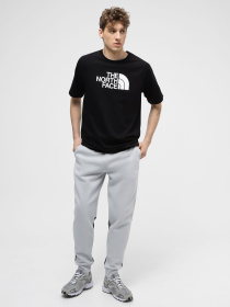 Штаны спортивные The North Face M Icons Pant модель NF0A87DQA0M1 Фото