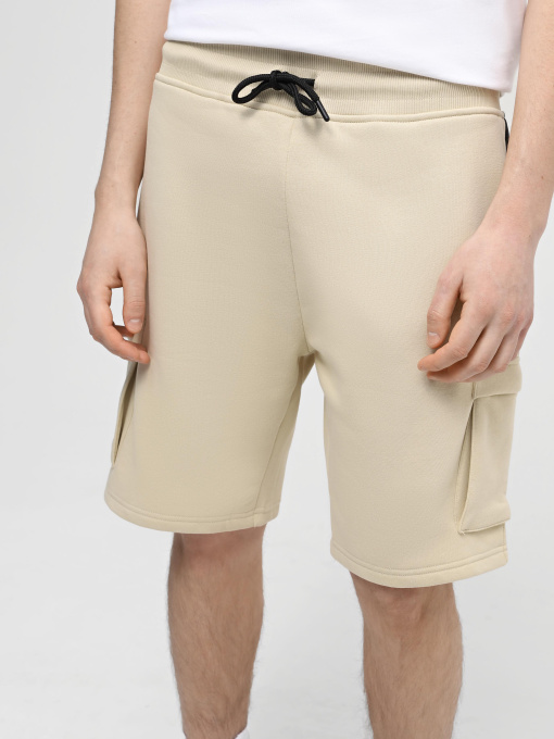 Шорты The North Face M Icons Cargo Shorts модель NF0A87DR3X41 Фото