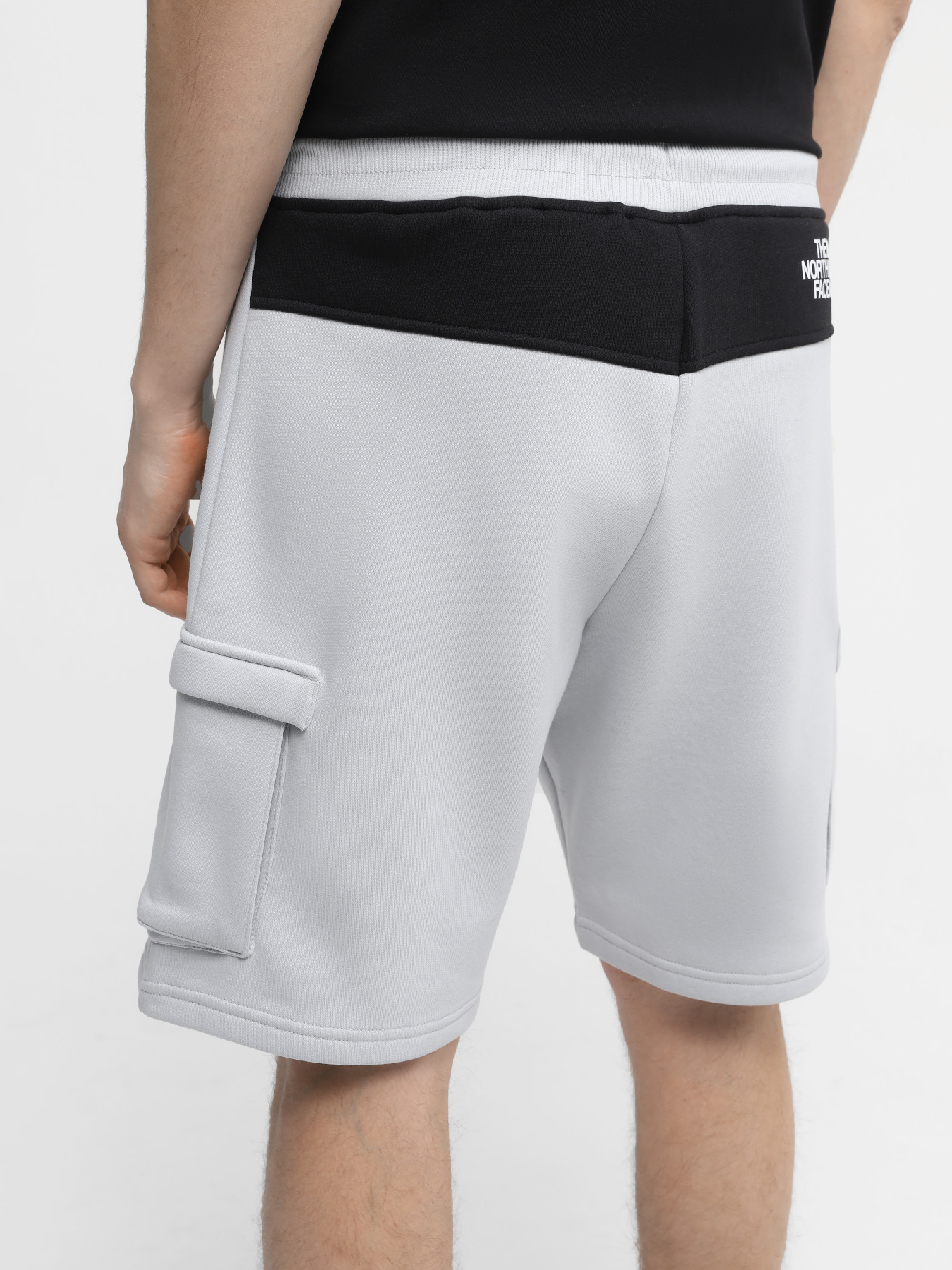 Шорты The North Face M Icons Cargo Shorts модель NF0A87DRA0M1 Фото