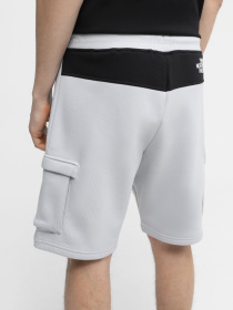 Шорты The North Face M Icons Cargo Shorts модель NF0A87DRA0M1 Фото