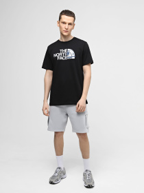 Повсякденні шорти The North Face M Icons Cargo Shorts модель NF0A87DRA0M1 Повсякденні шорти The North Face M Icons Cargo Shorts модель NF0A87DRA0M1 Фото
