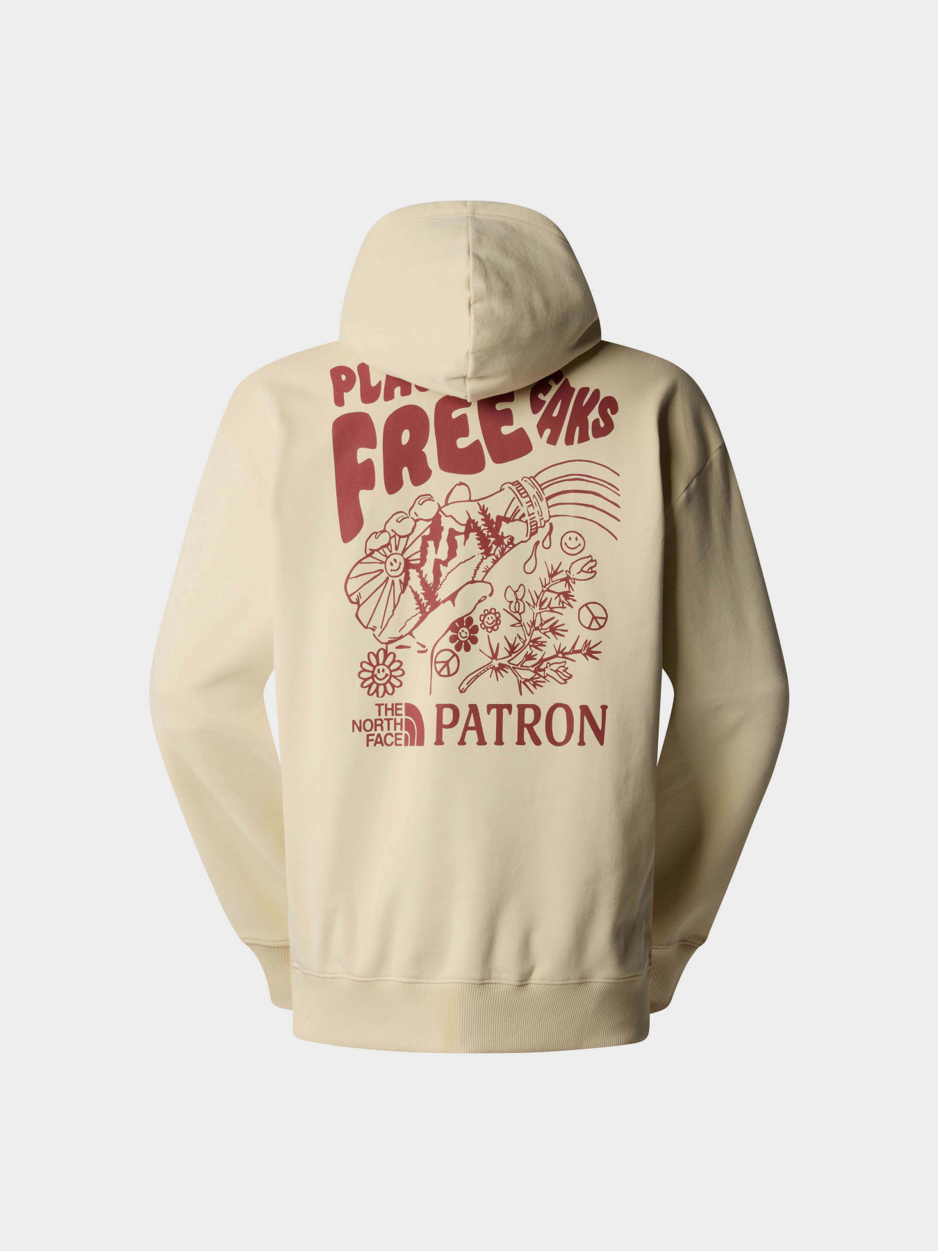 Худи The North Face M Nature Hoodie модель NF0A87DV3X41 Фото