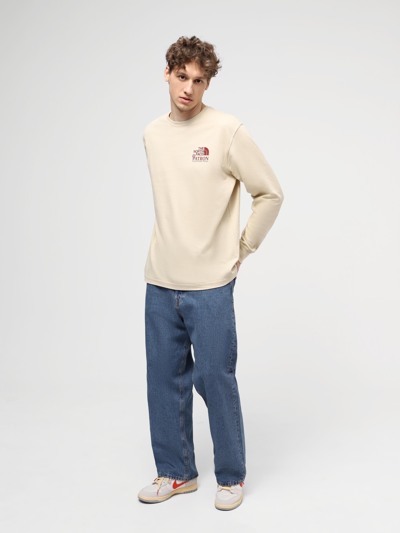 Світшот The North Face M Nature L/S Tee модель NF0A87DW3X41 Фото