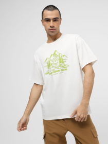 Футболка The North Face M Nature модель NF0A87DXQLI1 Фото