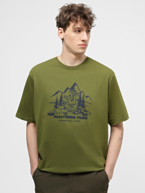 Футболка The North Face M Nature модель NF0A87DXPIB1 Фото