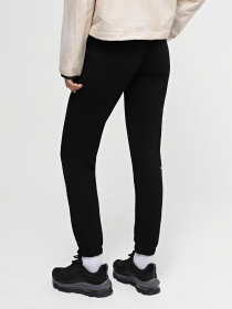 Штани спортивні The North Face W Regular Fit Simple Dome Pant - Light Loop Back модель NF0A87E4JK31 Фото