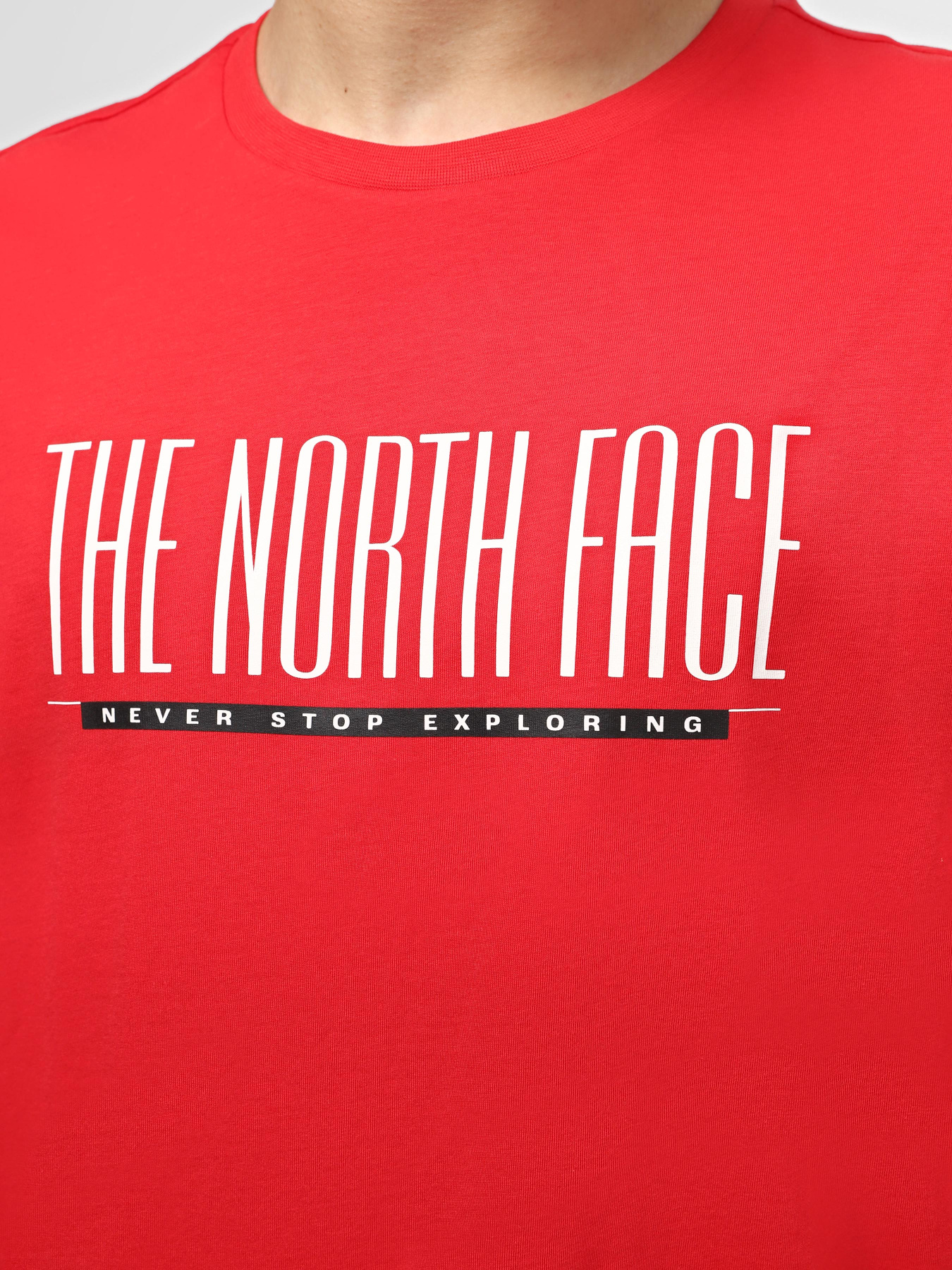 Футболка The North Face M Tnf Est 1966 S/S Tee модель NF0A87E76821 Фото