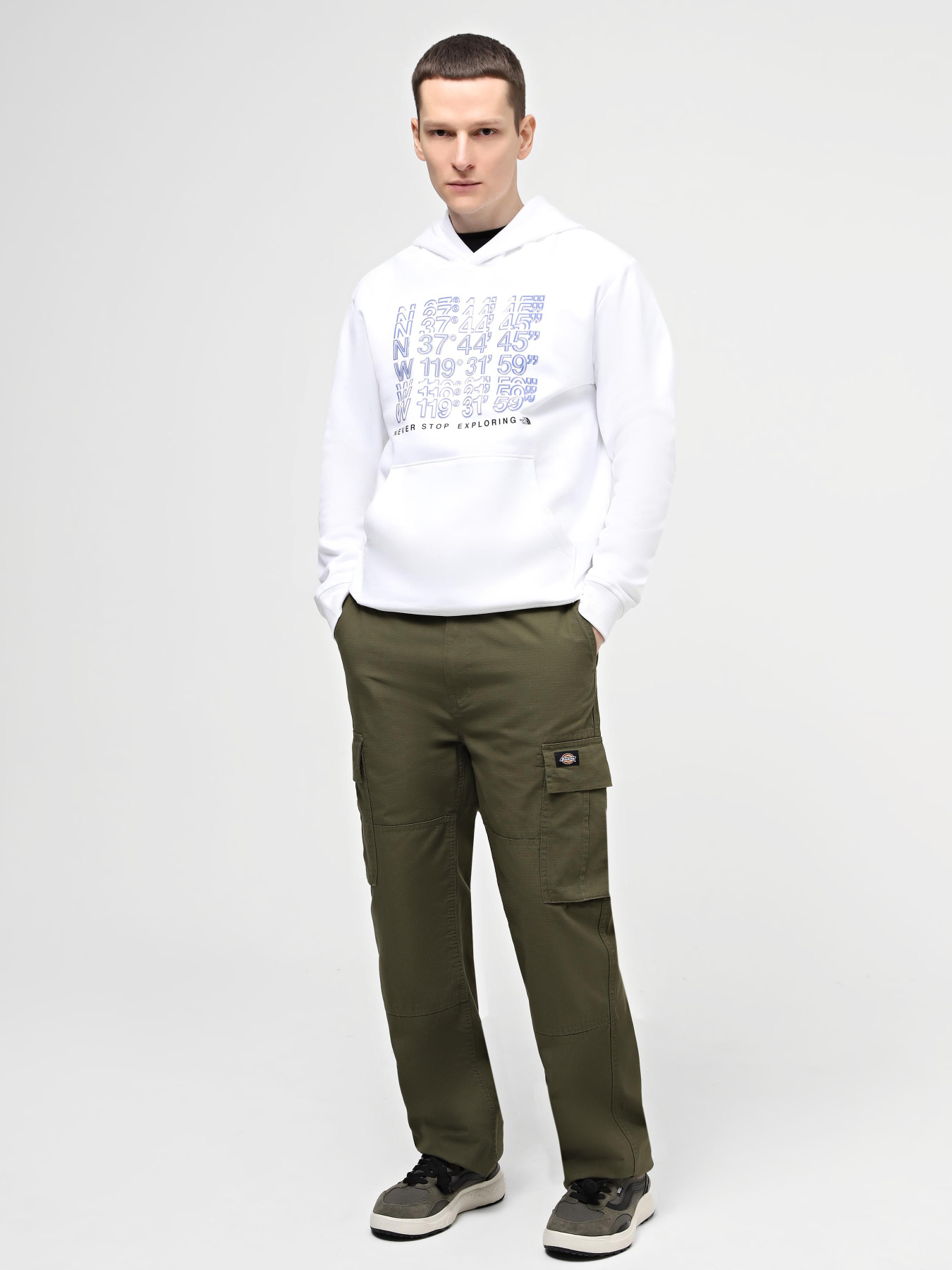 Худі The North Face M Ss24 Coordinates Hoodie модель NF0A87EAFN41 Фото