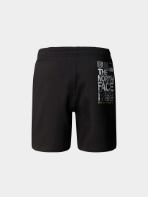 Шорты спортивные The North Face Coordinates модель NF0A87ECJK31 Фото
