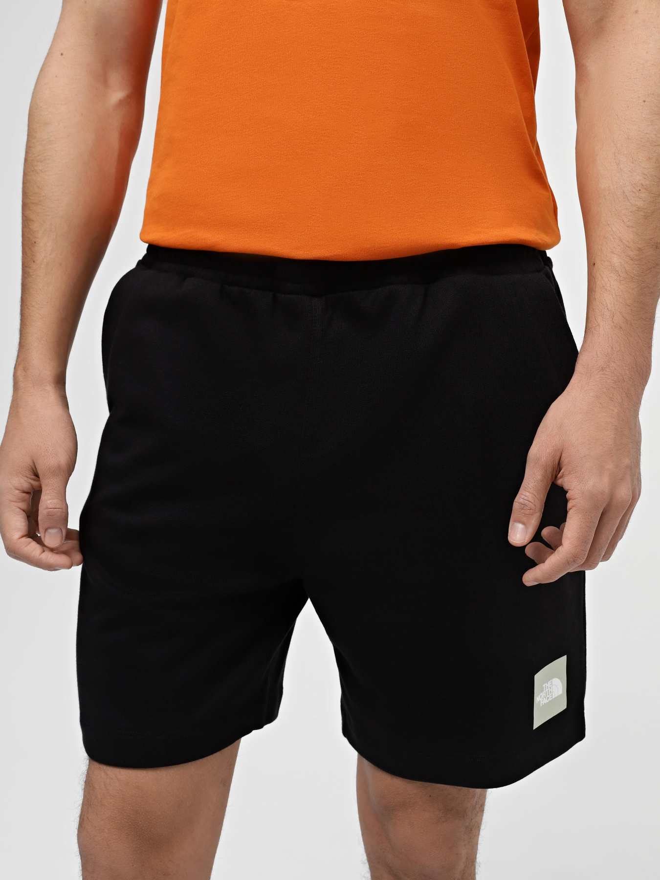 Шорты спортивные The North Face Coordinates модель NF0A87ECJK31 Фото
