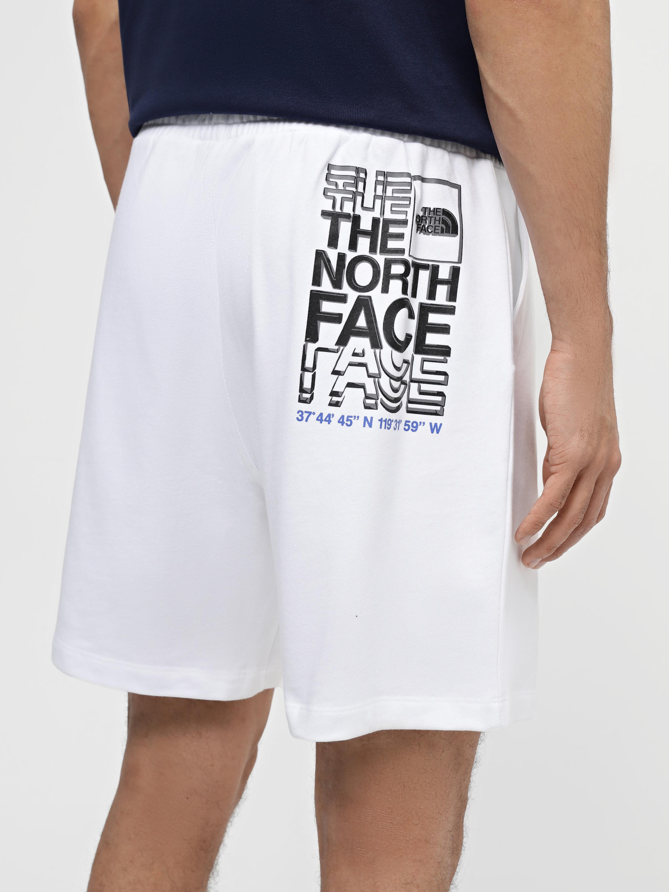 Шорты спортивные The North Face Coordinates модель NF0A87ECFN41 Фото