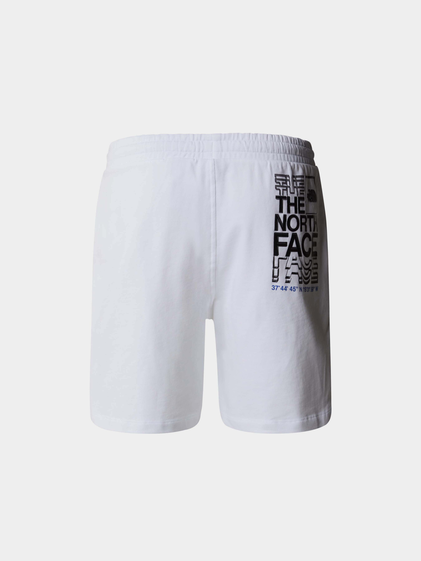 Шорты спортивные The North Face Coordinates модель NF0A87ECFN41 Фото