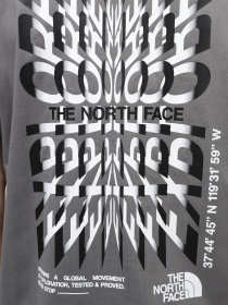 Футболка The North Face M Ss24 Coordinates S/S Tee модель NF0A87ED0UZ1 Фото