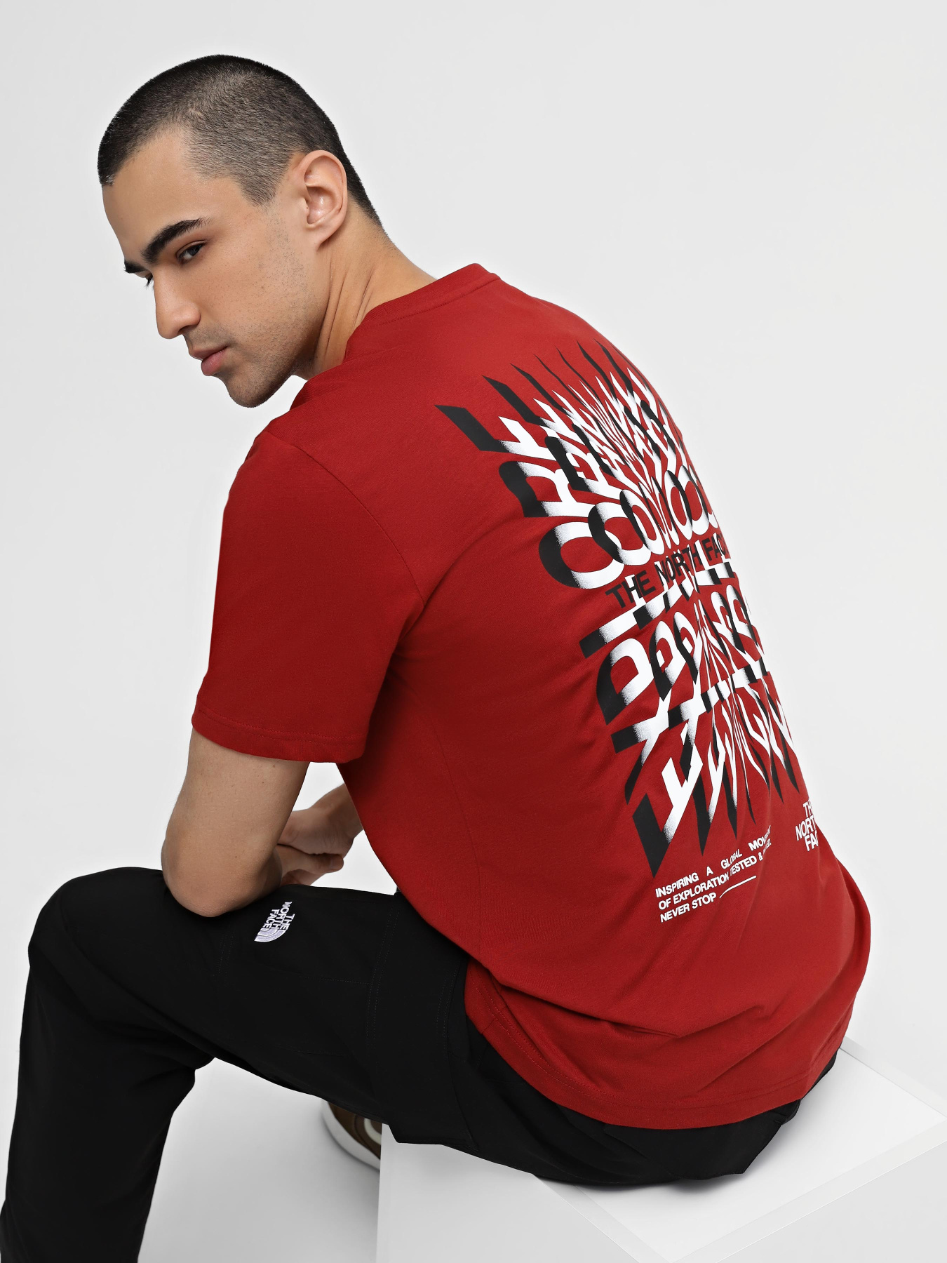 Футболка The North Face M Ss24 Coordinates S/S Tee модель NF0A87EDPOJ1 Фото